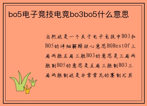 bo5电子竞技电竞bo3bo5什么意思